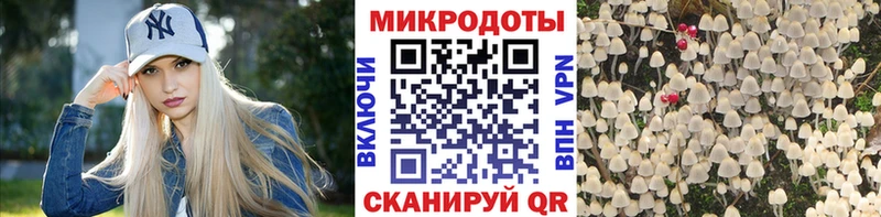 Псилоцибиновые грибы Psilocybe  Купить  Красково 